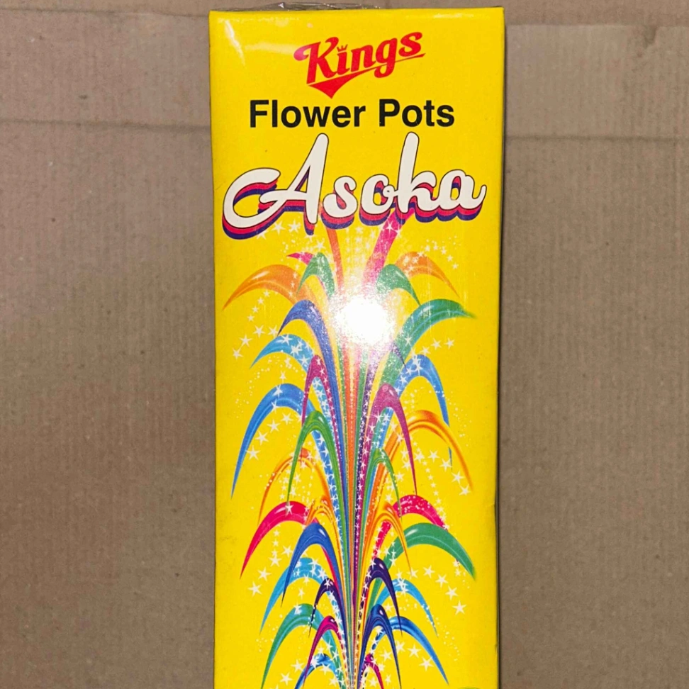 Flower Pots Ashoka